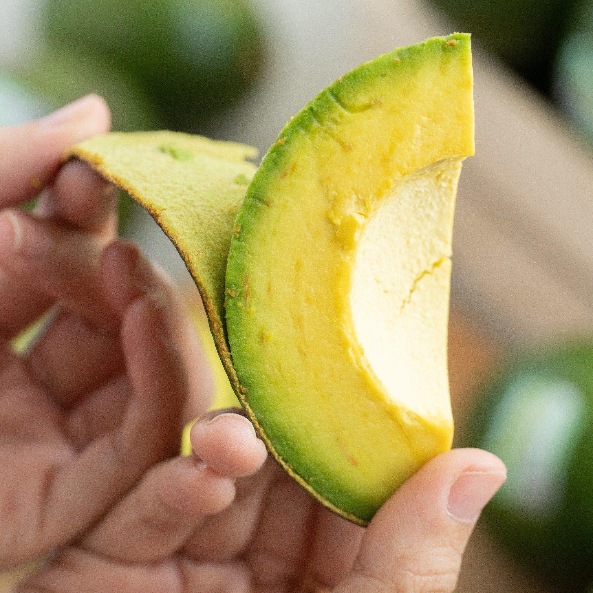 Bơ booth giá rẻ tại GreenLavie, chọn lựa chất lượng và tiết kiệm cho bạn