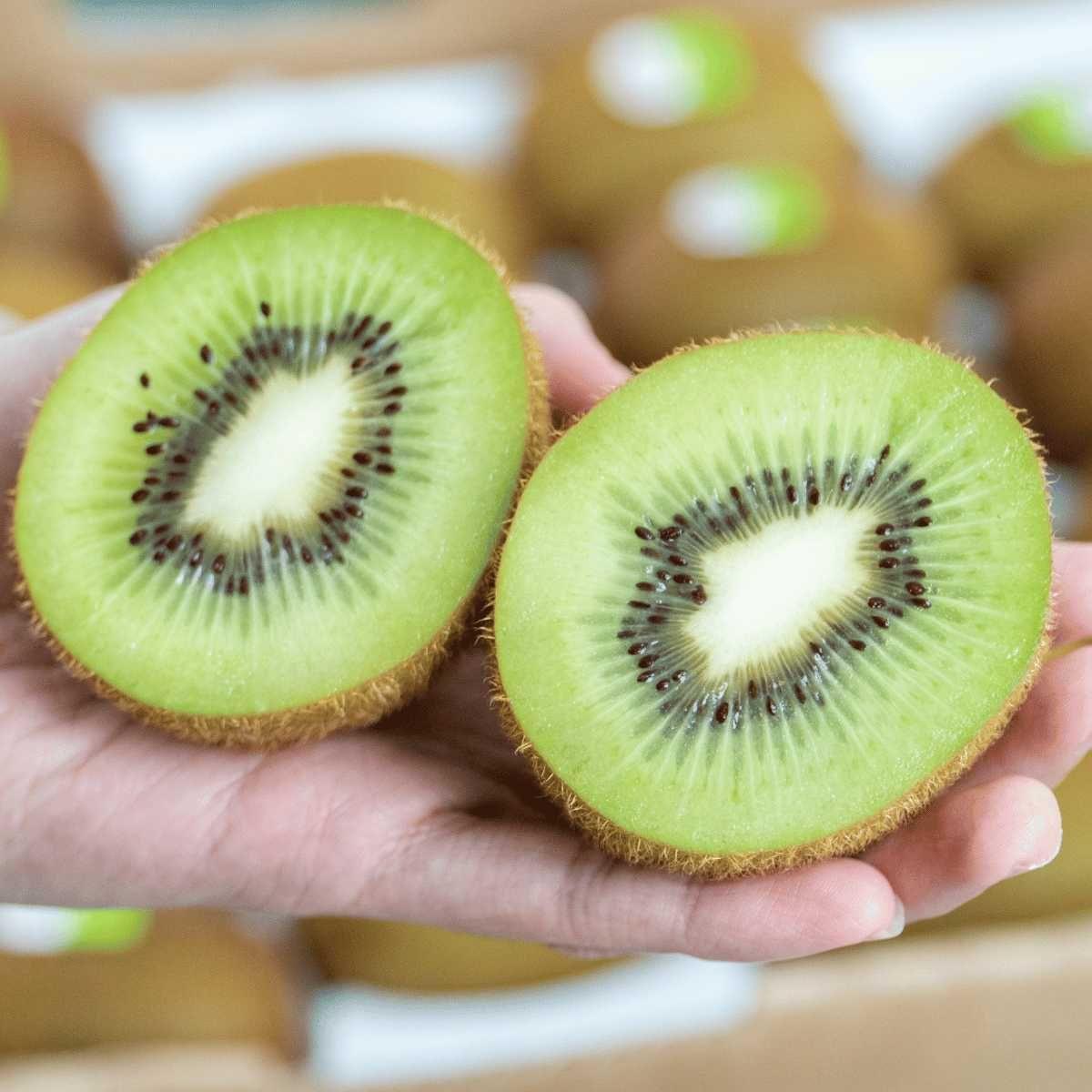 Kiwi xanh hữu cơ chất lượng cao nhập khẩu trực tiếp từ New Zealand